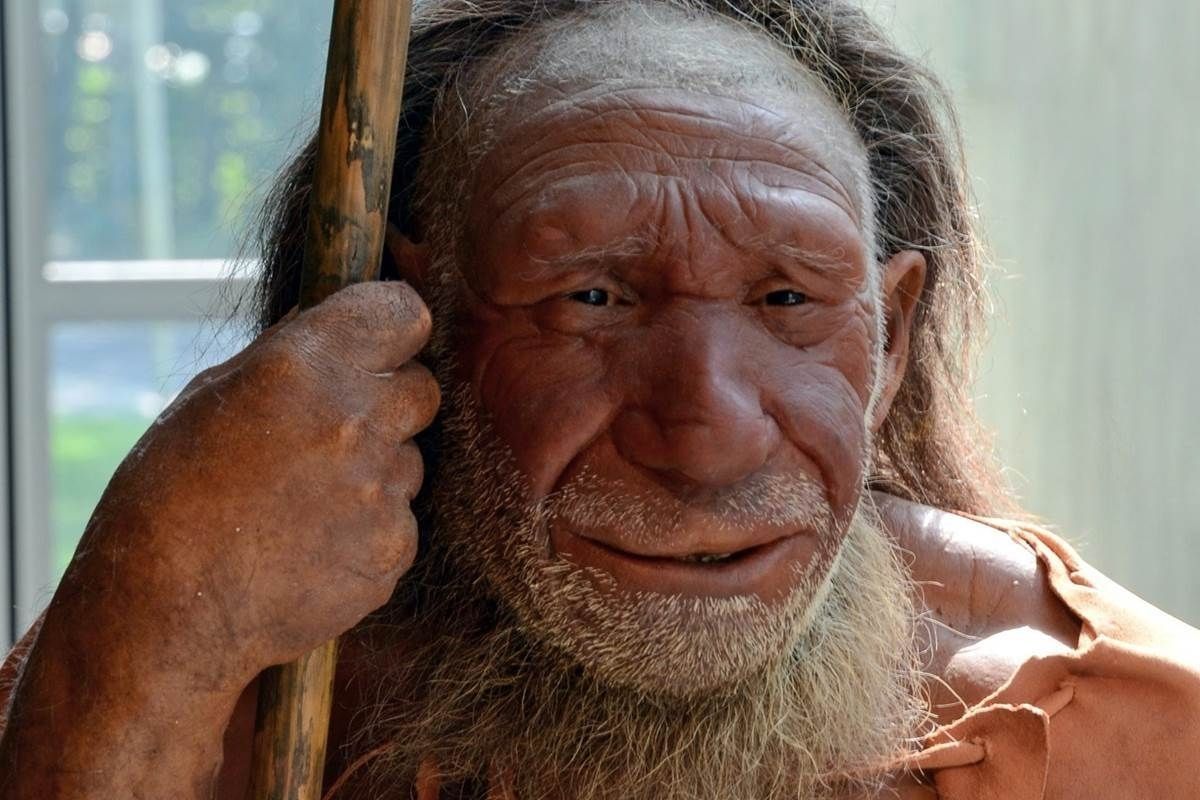Орчин үеийн бүх хүн Неандерталь гентэй болохыг судлаачид харуулжээ